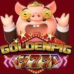 Golden Pig 777